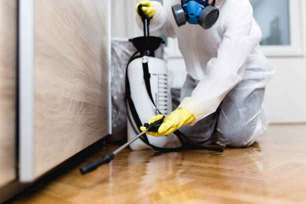 Pest Prevention Services in Lake Mohegan, NY