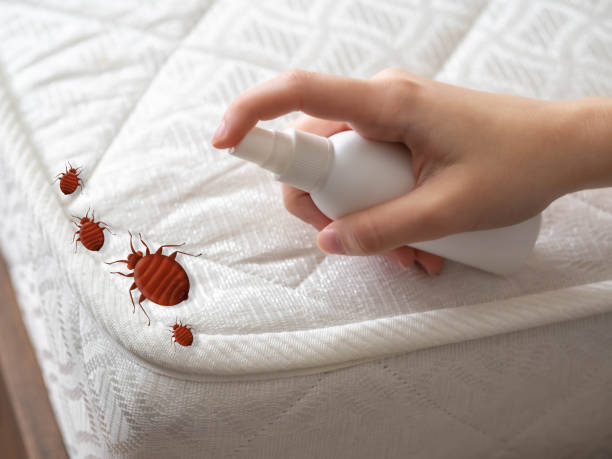 Best Best Pest Control Companies  in Lake Mohegan, NY