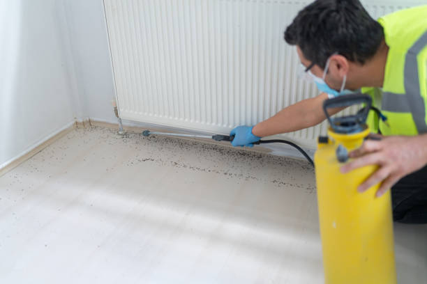 Best Emergency Pest Control  in Lake Mohegan, NY
